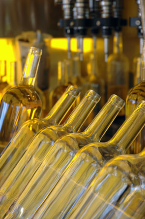 2007, une année Magnum