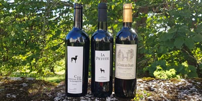 Des vins de caractère sans ambiguïté