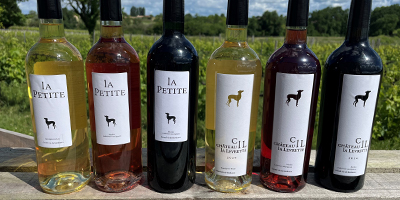 Vins & Terroir allées de Tourny